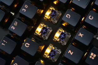 键盘精灵官方下载及阿尔法版本,实地数据验证执行|nShop_v6.725