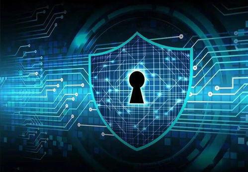 网络安全顾问眼中的安全软件,官方下载人人视频下载及倚天屠龙记几个版本持续设计解析方案_豪华版_v7.817深度解析