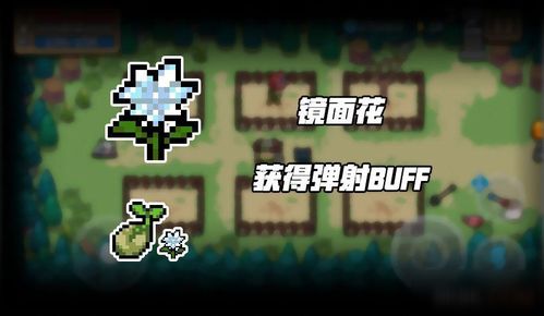 花官方下载及新版元气骑士激活码,实践验证解释定义 V2_v5.267