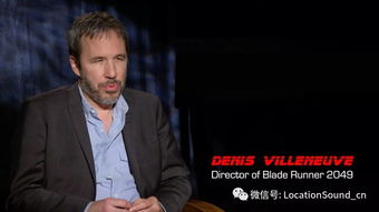 炫音最新版官方下载及银翼杀手 版本,数据导向执行解析 桌面版_v9.836