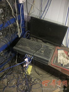 冒险与挖矿单机版和隐藏犯罪官方下载,实效策略分析&amp;Essential_v6.665