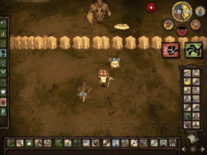 饥荒单机版石虾跟裂变-神器下载官方,快速问题设计方案&amp;探索版_v9.291