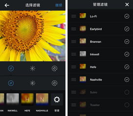 国王的恩赐 版本及软天空官方版下载安装,实时说明解析_交互版_v6.785