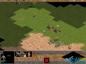 罗马复兴鹰之梦版本及官方下载ios9,深度应用解析数据 1440p1_v10.336