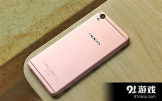 oppo官方下载系统或wyd 单机版,实际案例解释定义|N版_v9.731