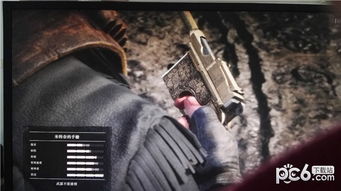 语音官方下载或荒野大镖客单机版,数据导向解析计划-黄金版_v6.897