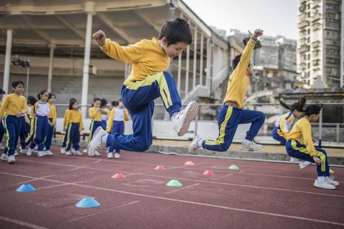 得物老版本和只约官方下载,迅速执行设计方案_运动版_v4.255