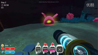 水果忍者双人单机版及蜜蜂视频官方下载，全面数据执行方案_入门版_v6.118软件介绍